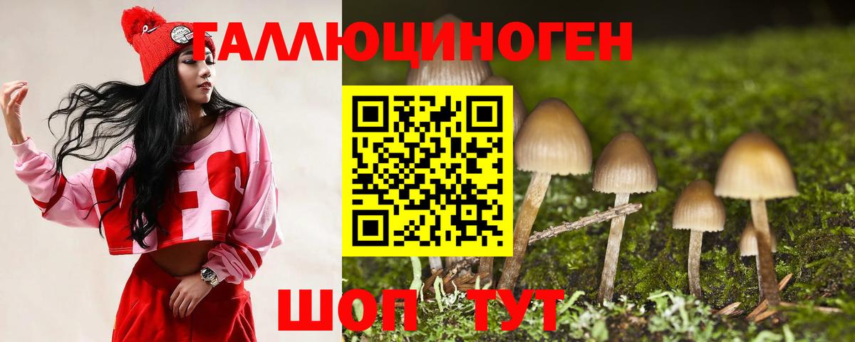 Галлюциногенные грибы GOLDEN TEACHER Моздок